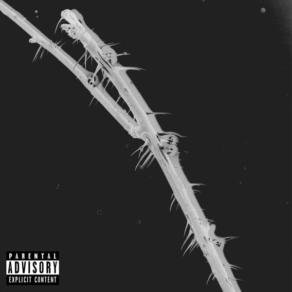 Cover 2