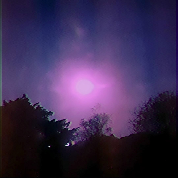 5060913708481 t5 image