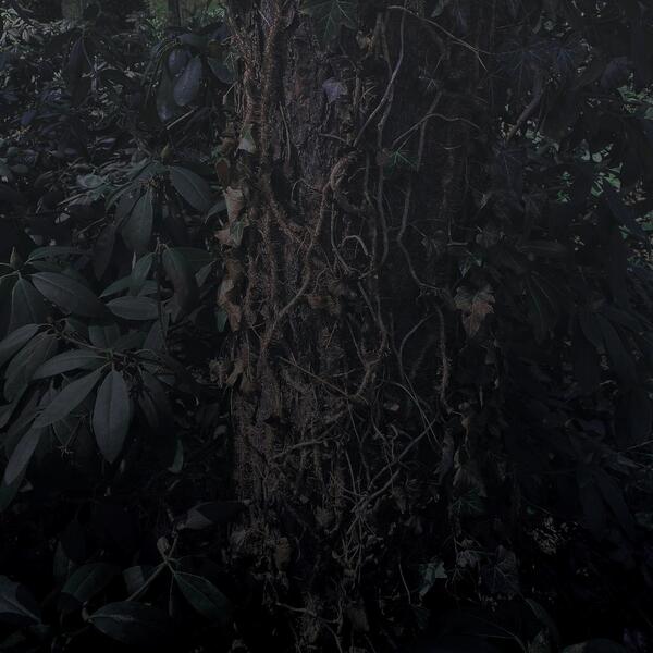 727431747907 t14 image