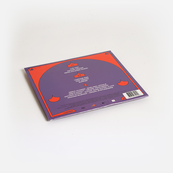 Deryayildirim vinyl b
