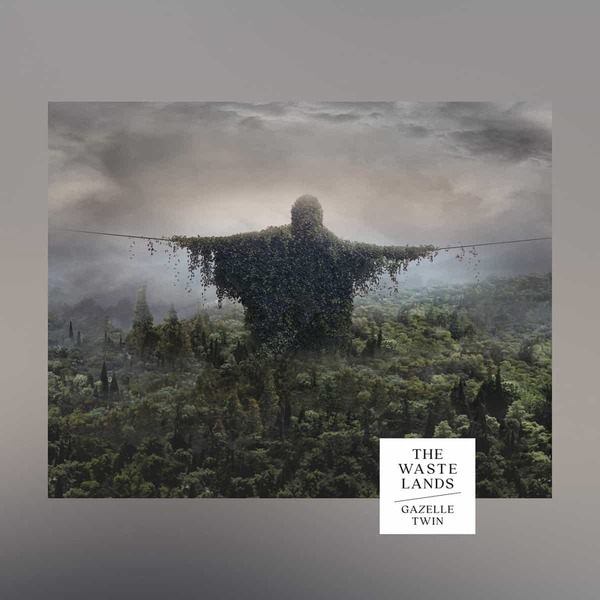191969 gazelle twin the wastelands