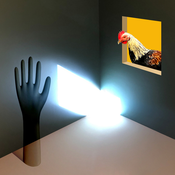 4062548045475 t11 image