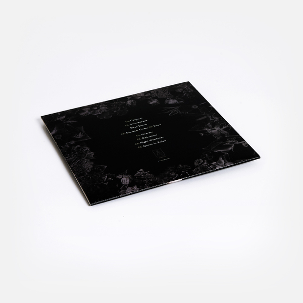 Reigns vinyl b