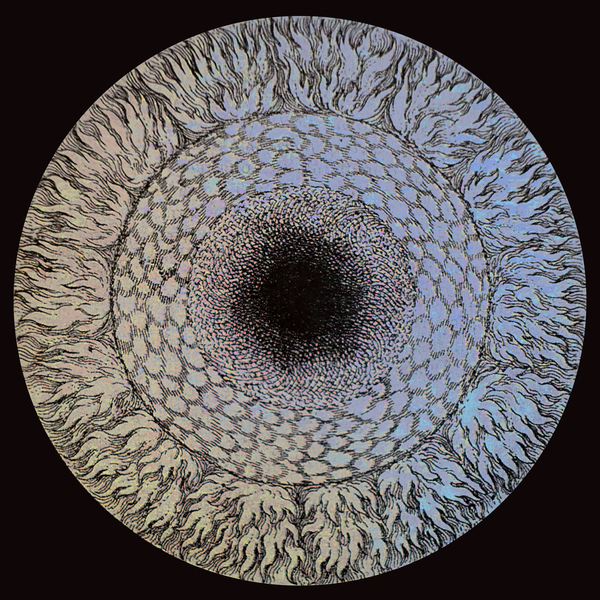 5056321675149 t3 image
