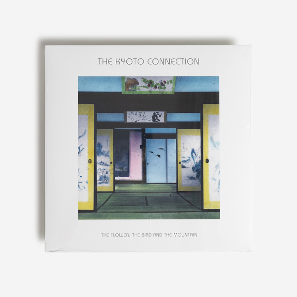 Kyotoconnection vinyl ff