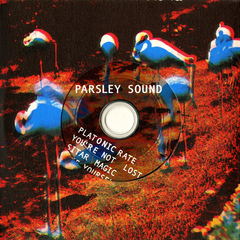 Parsley Sounds レコード PARSLEY SOUND - Parsley Sounds - Boomkat