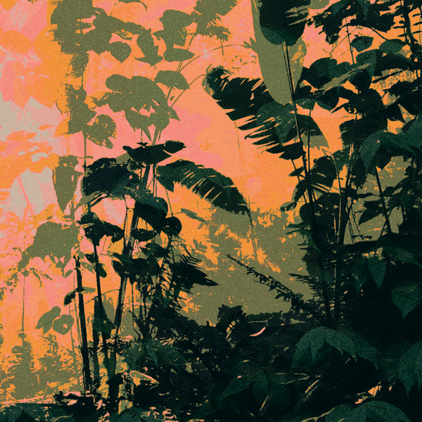 Dptx027