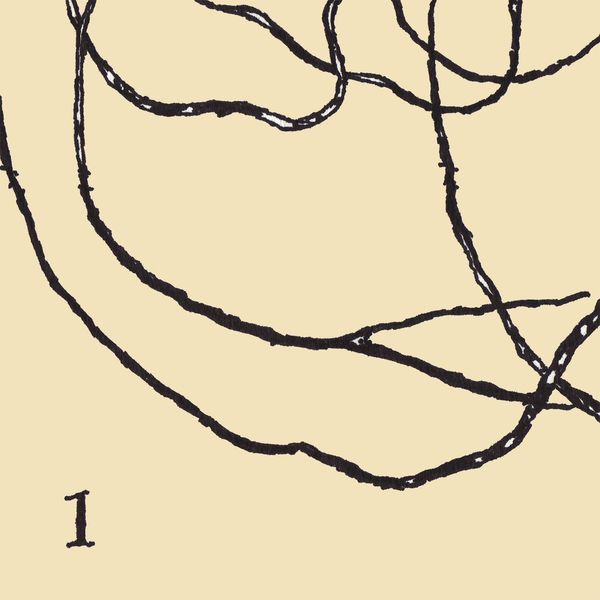5056321676184 t4 image
