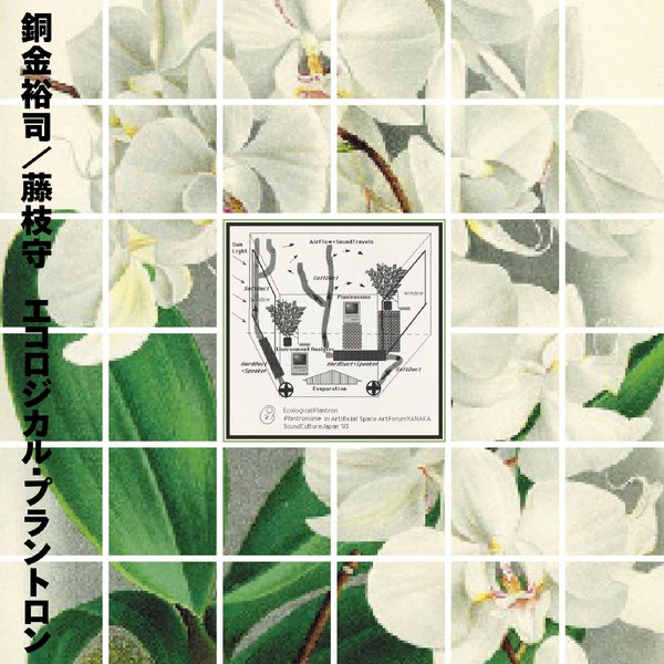 Yuji Dogane & Mamoru Fujieda - Ecological Plantron - Boomkat