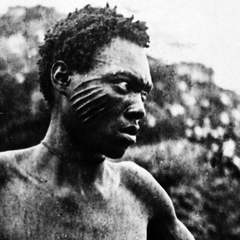 レコード　andy stott passed me by 2LP オリジナル ANDY STOTT - Passed Me By (2022 Edition) - Boomkat