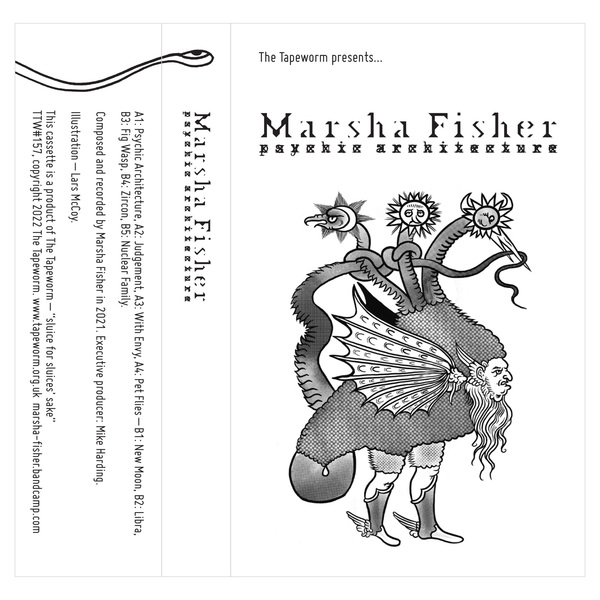 Psychic architecture   marsha fisher