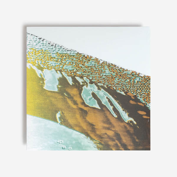Olliaarni vinyl f