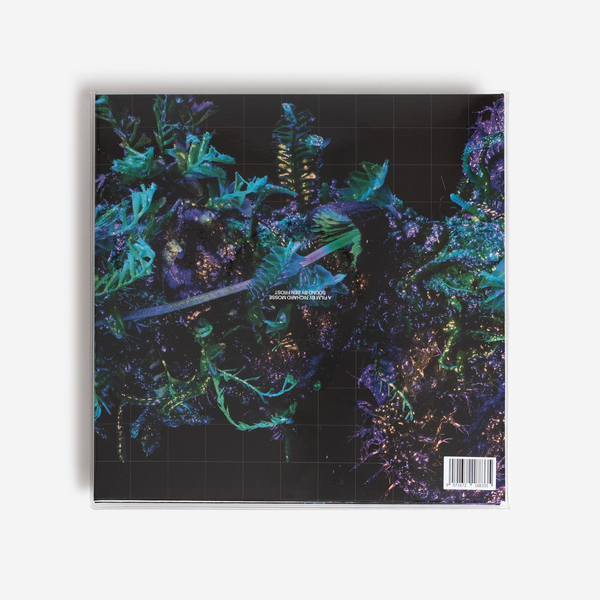 Brokenspectre vinyl b