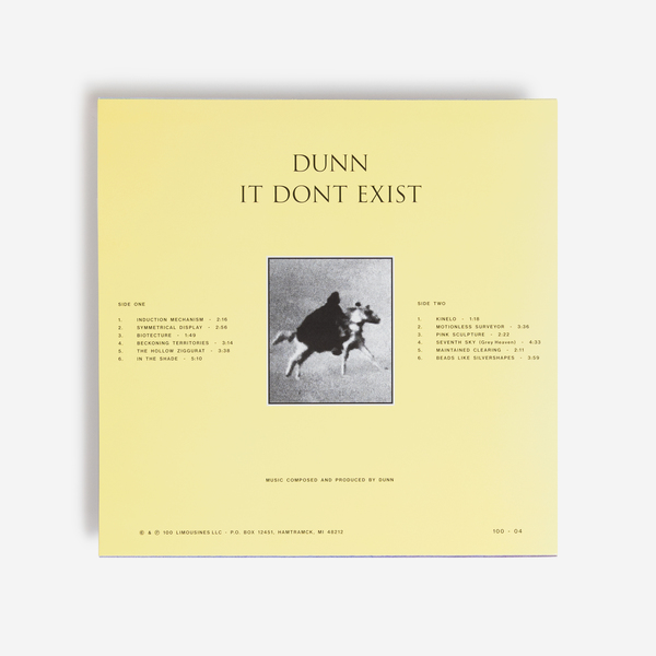Dunn vinyl b