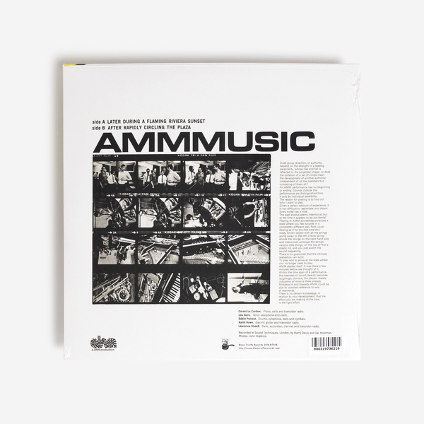 Amm vinyl b