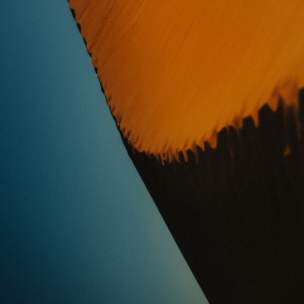 887832017464 t2 image