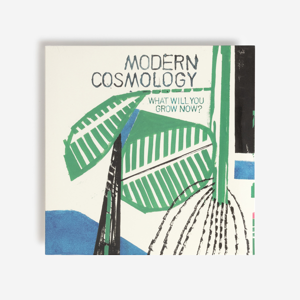 Moderncosmology blk2 vinyl ff