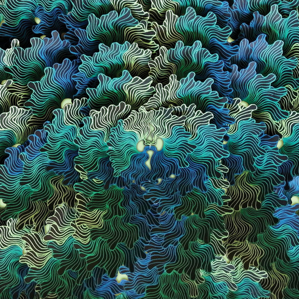 A2628120234 10