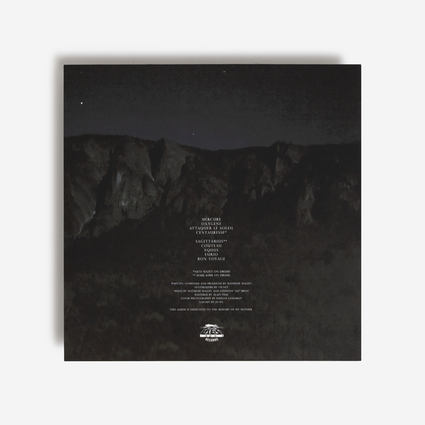 Dissemblance vinyl b