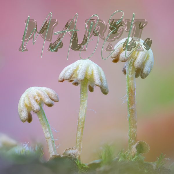 8790001413405 t6 image