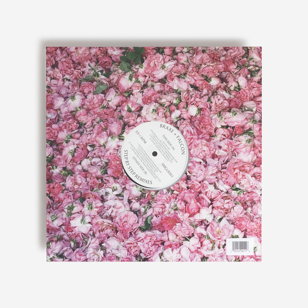 Braxe falcon vinyl b