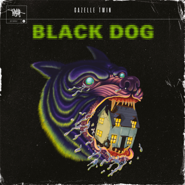 Gazelle twin   black dog