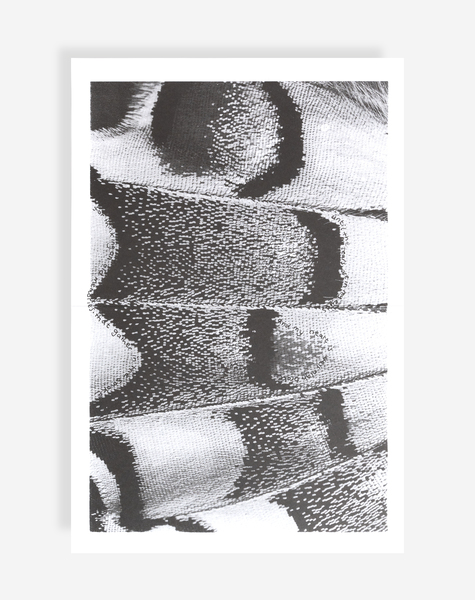 Flaming tunes poster product image