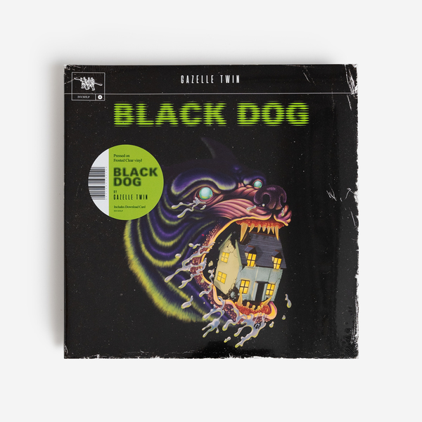 Black dog front 
