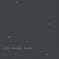 Haruomi Hosono - N.D.E. - Boomkat