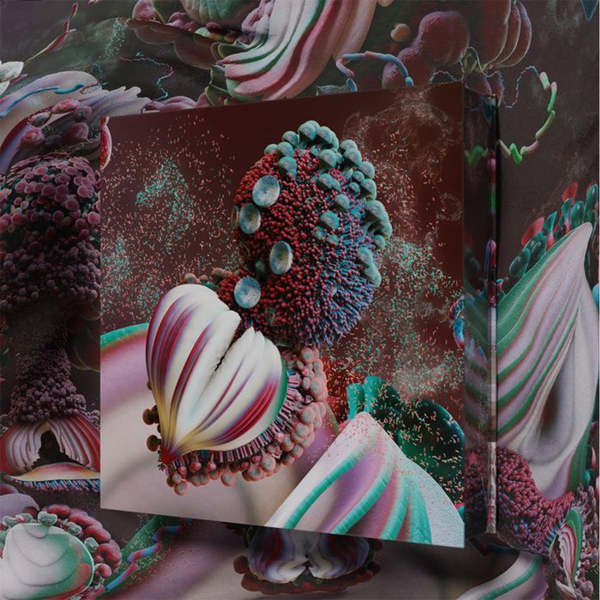 Bjork   fossorae   deluxe clear vinyl box set 1024x