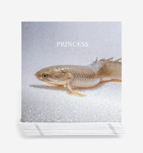 Princ€ss - Princ€ss - Boomkat