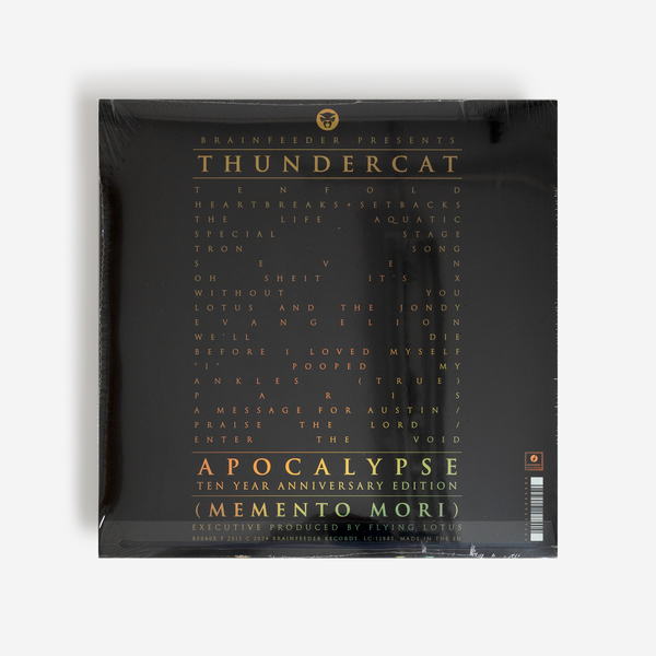 Thundercat back