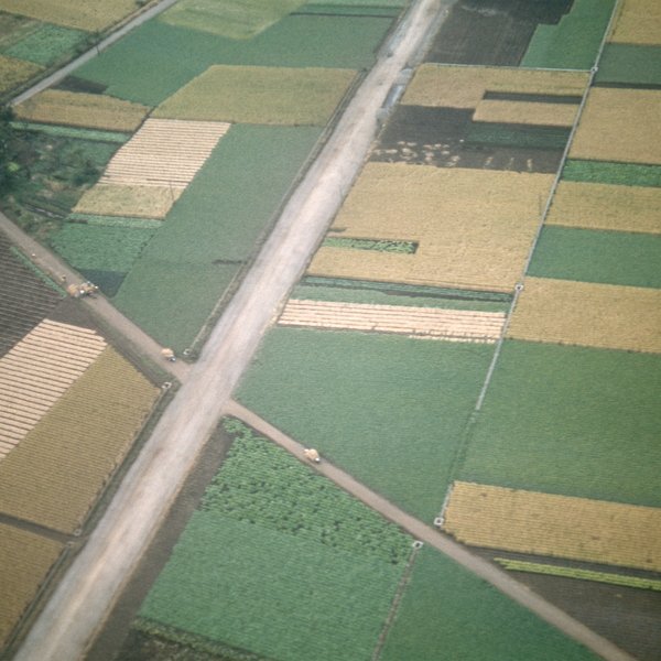 4250101467554