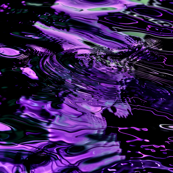 4251804190954 2500