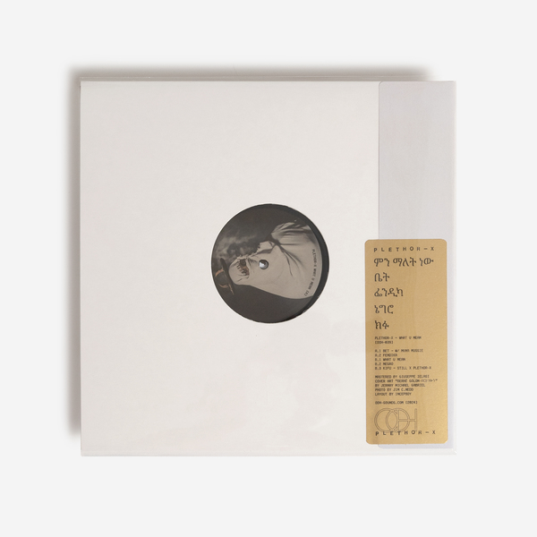 Plethor vinyl b