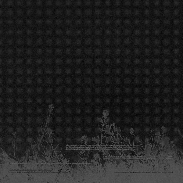 5050580827745