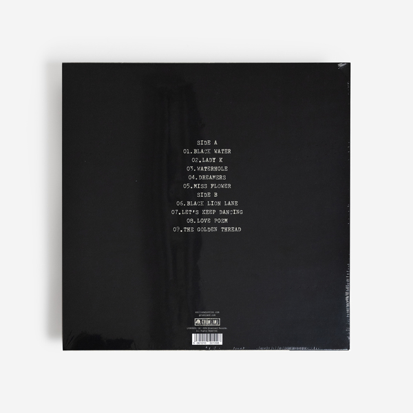 Miss vinyl b