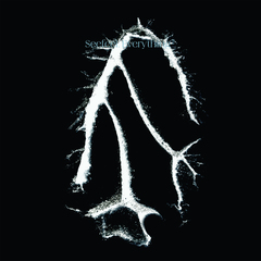 Seefeel Quique redux edition 限定2CD UK Seefeel - Quique (Redux Edition) - Boomkat