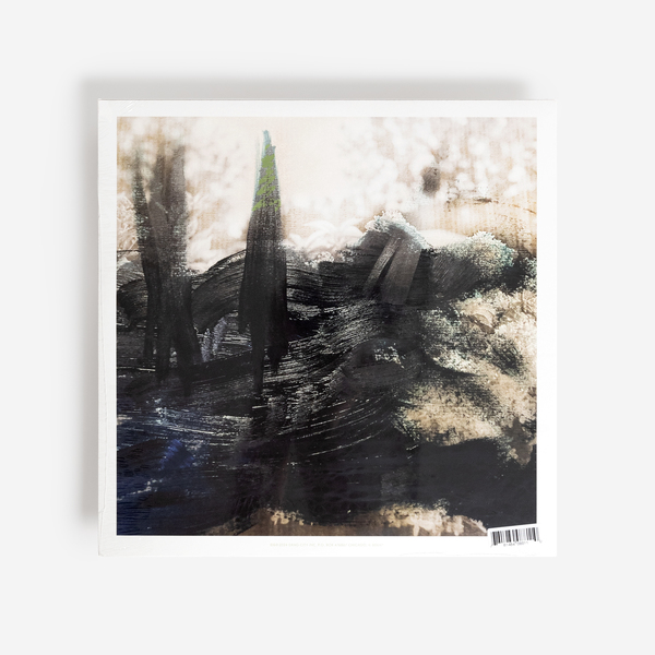 米、欧LP Nathan Bowles Trio Are Possible DC881 Drag City Records /00260 Nathan Bowles Trio - Are Possible - Boomkat