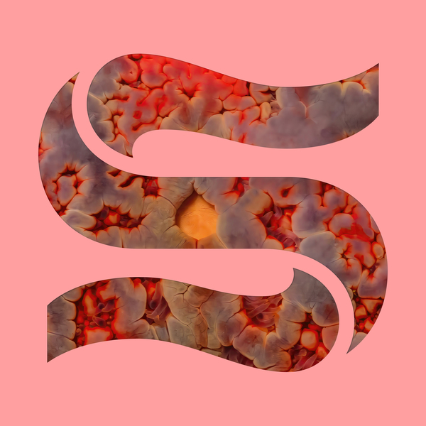 192152050665 t6 image