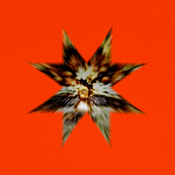 840200598385 t2 image