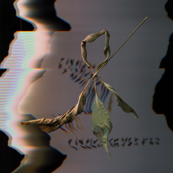 666561018160