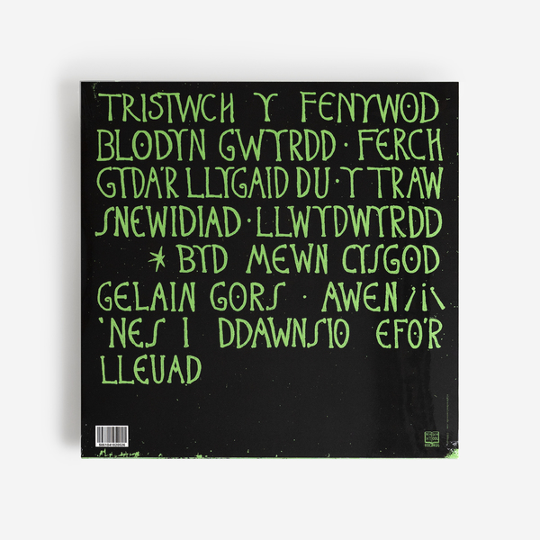 Trystwych back 2