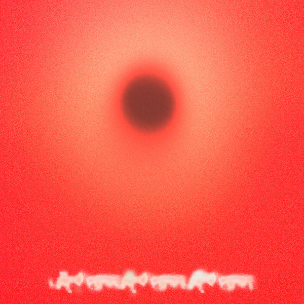 4062548108835 t5 image