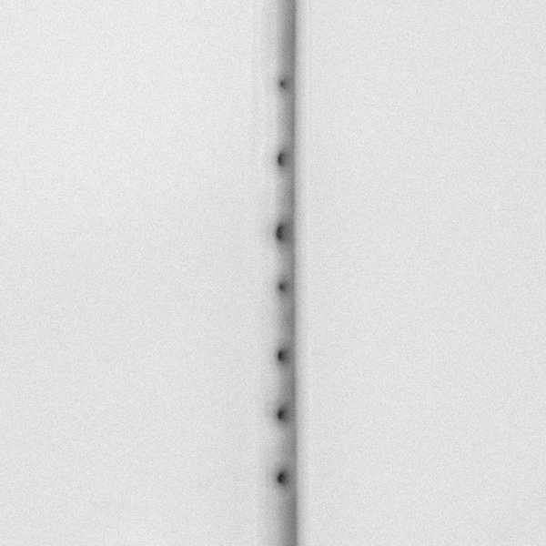 Nkd10 cover