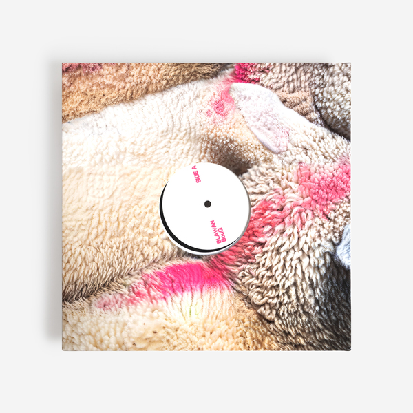 Blawan ff