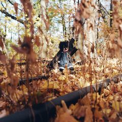 billy woods - GOLLIWOG - Boomkat