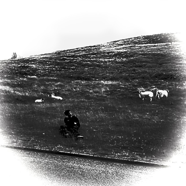 Pretty V - Destiny of Illusion - Boomkat