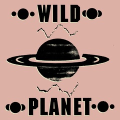 米2discs 12” Wild Planet Transmitter 4w400 430 West /00500 WILD PLANET - Transmitter - Boomkat