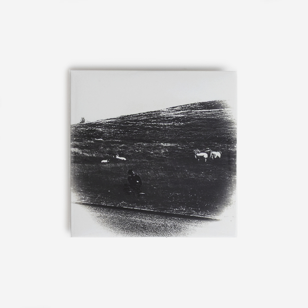 Pretty V - Destiny of Illusion - Boomkat